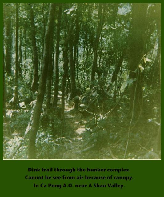 1DH0376 canopy