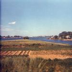 scan091