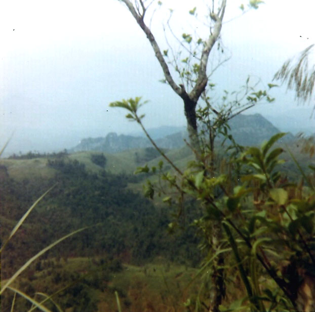 scan1008