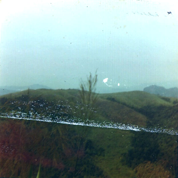 scan1010