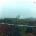 scan1010
