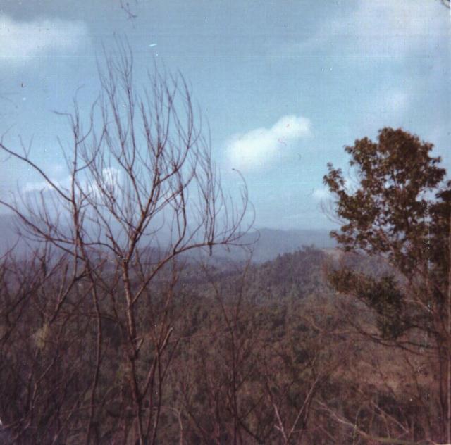 hillside view