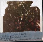 names on photo
