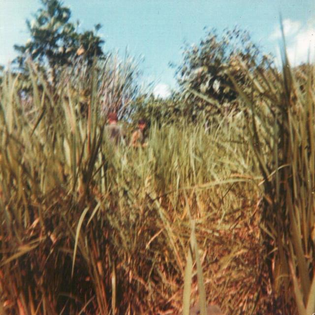 not sure who this is