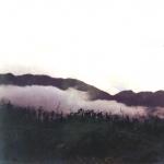 scan0047