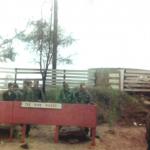 scan0088