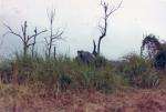 scan0062
