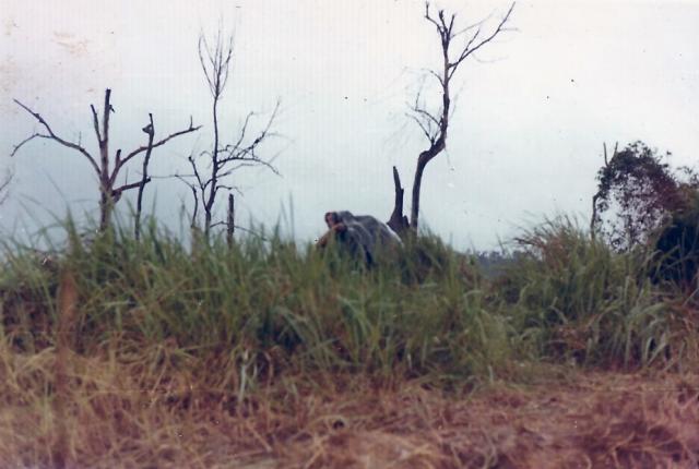 scan0062