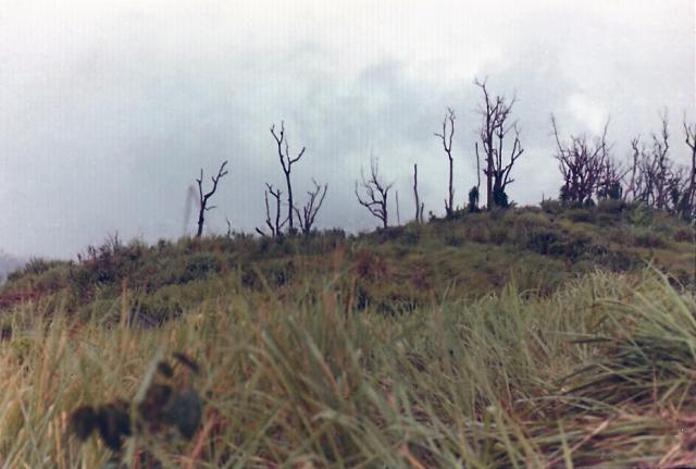 scan0061