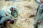 Captured Mortars1