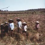 Vietnam kids